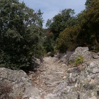 Photo de France - La randonnée des Gorges d'Héric